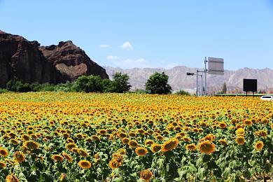 CDPR：《巫师4》开放世界将更有深度 更具沉浸感