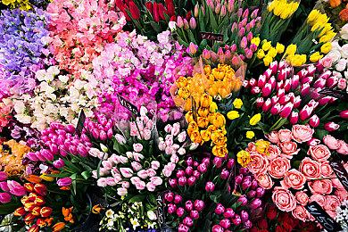 史克威尔TGS Steam折扣优惠 多款大作最低五折